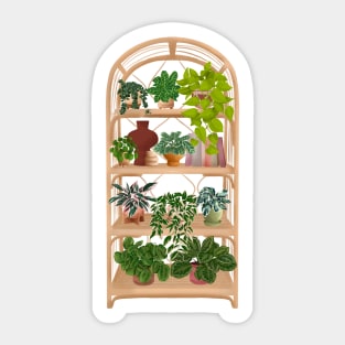 House plants collection 41 Sticker